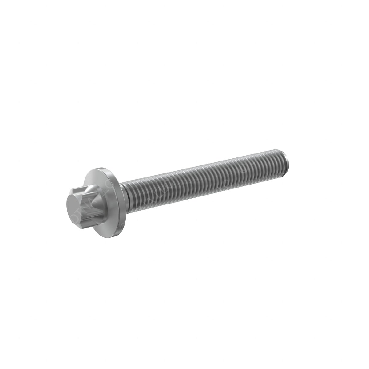 SCREW