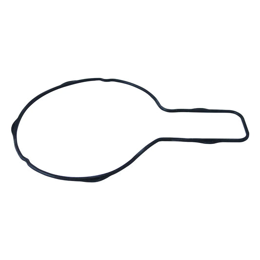Water Pump D13 Gasket